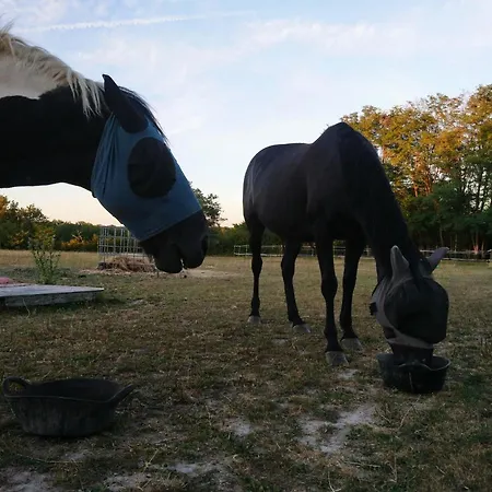 Apartament Clan Boucheron