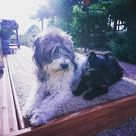 Clan Boucheron Apartament Louroux-Bourbonnais