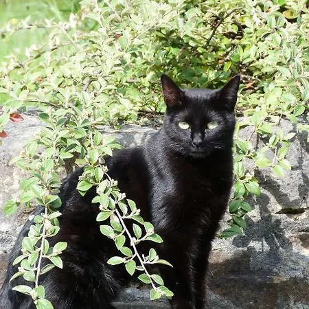 Clan Boucheron Apartament *