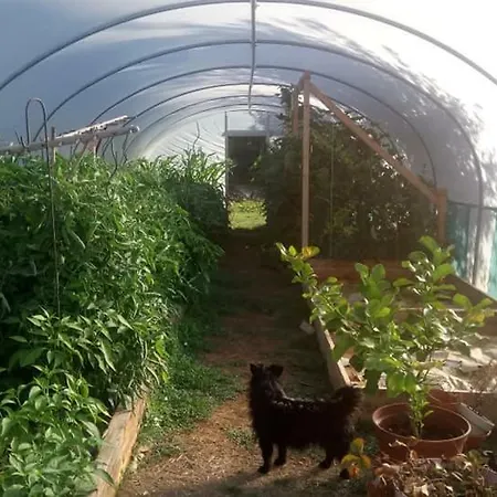 Clan Boucheron Apartament *