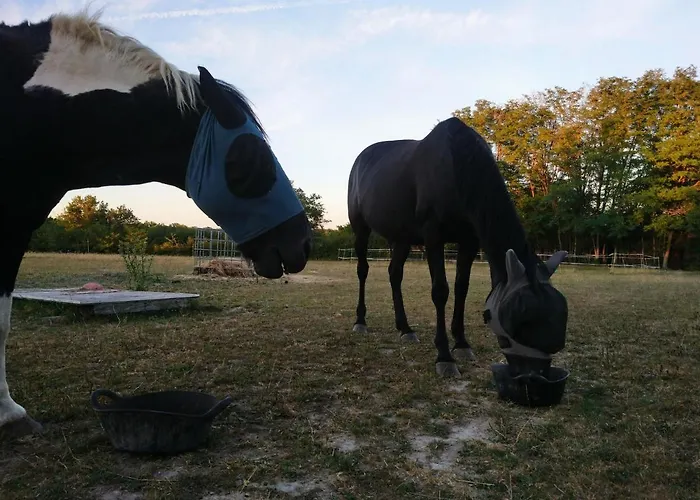 Apartamento Clan Boucheron