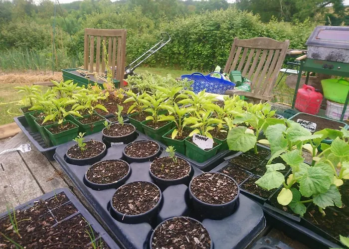 Appartement Clan Boucheron *