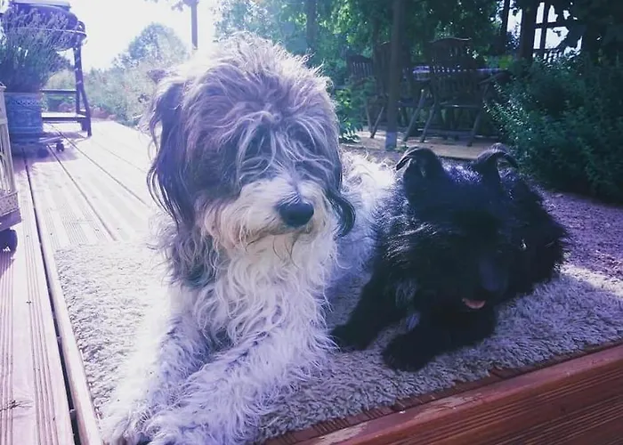 Clan Boucheron Appartement Louroux-Bourbonnais