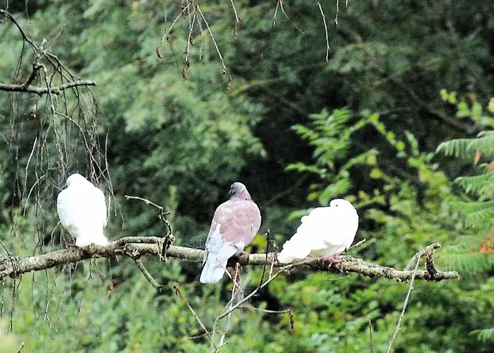 Appartement Clan Boucheron *