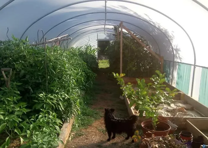 Clan Boucheron Appartement *